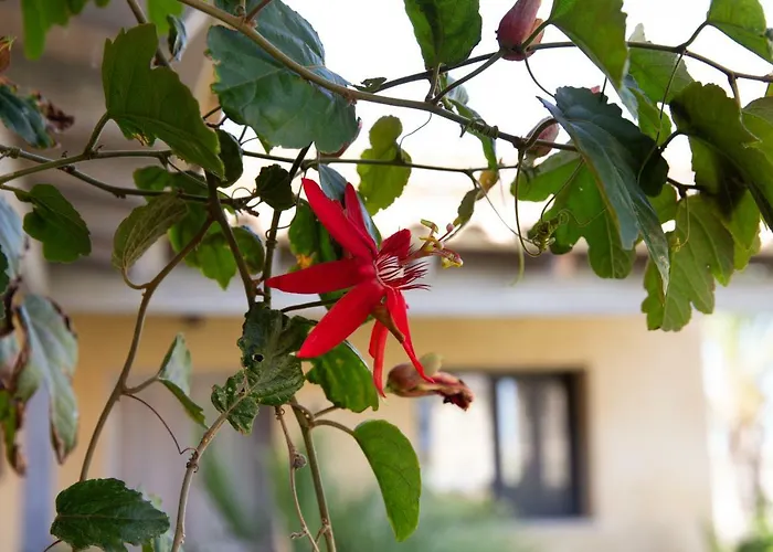 Rural El Teular Hotel Sueca
