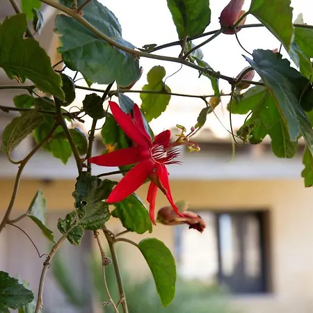 Rural El Teular Hotel Sueca