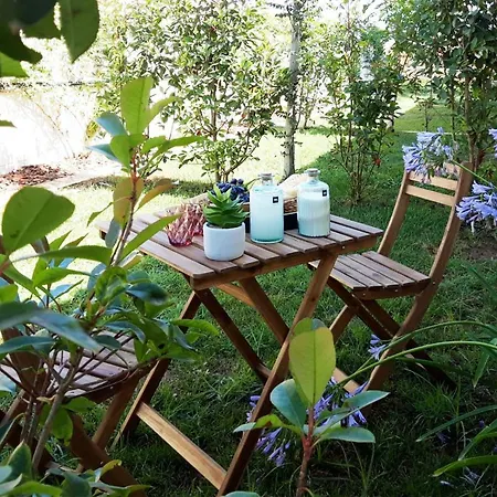 Отель Rural El Teular 3*